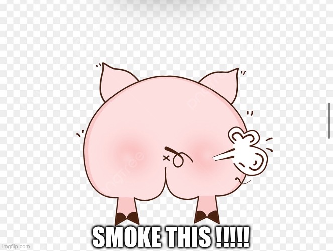 Smoke this | SMOKE THIS !!!!! | image tagged in pig | made w/ Imgflip meme maker