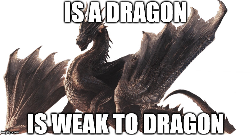 IS A DRAGON; IS WEAK TO DRAGON | image tagged in monster hunter | made w/ Imgflip meme maker