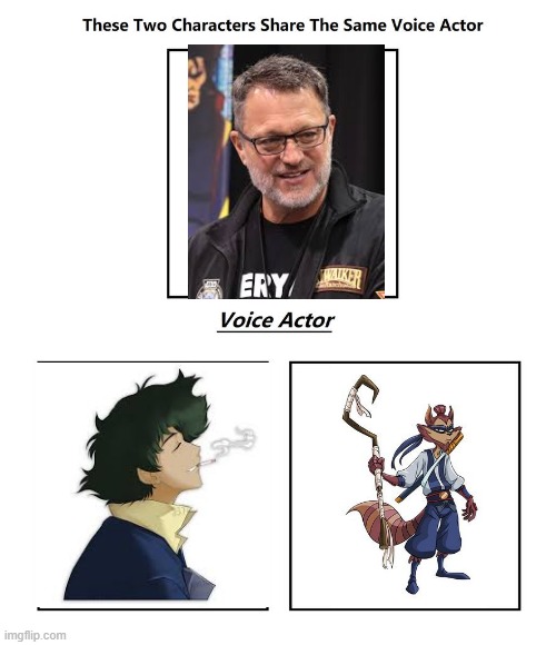 Steve Blum | image tagged in same voice actor,steve blum,sly cooper,cowboy bebop,playstation | made w/ Imgflip meme maker