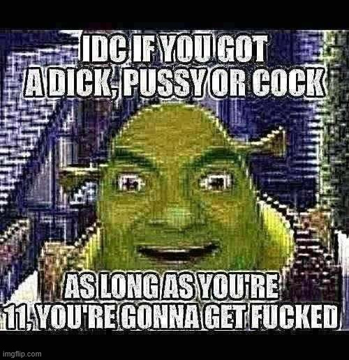 Shitpost shrek | image tagged in shitpost shrek | made w/ Imgflip meme maker