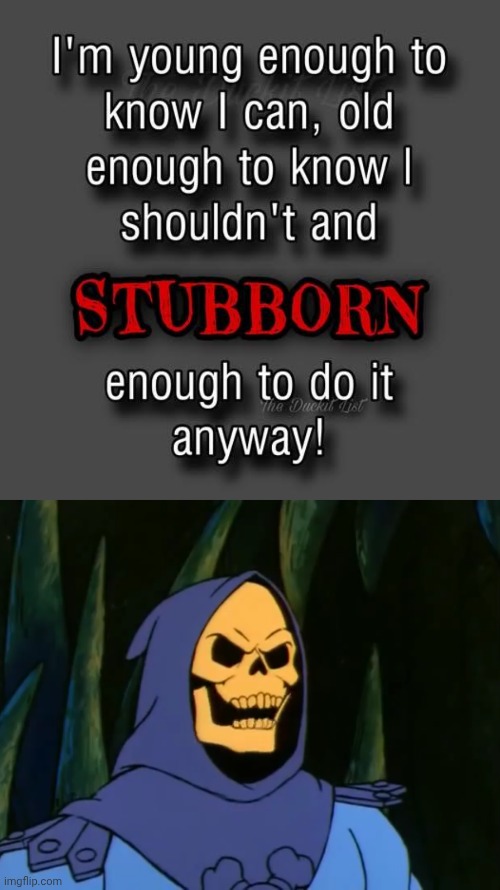 Old enough to know better | image tagged in skeletor wat,words of wisdom | made w/ Imgflip meme maker