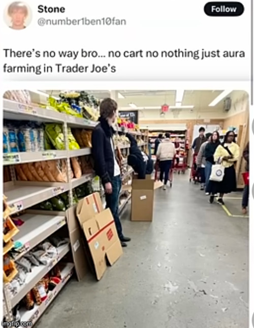 WE SEE THE FIT BROOOO | image tagged in aura farming,trader joes,aura,vegeta,funny | made w/ Imgflip meme maker