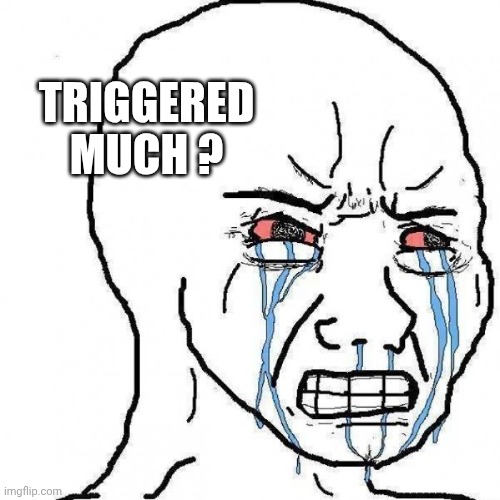STOP TRIGGERING ME | TRIGGERED
MUCH ? | image tagged in stop triggering me | made w/ Imgflip meme maker