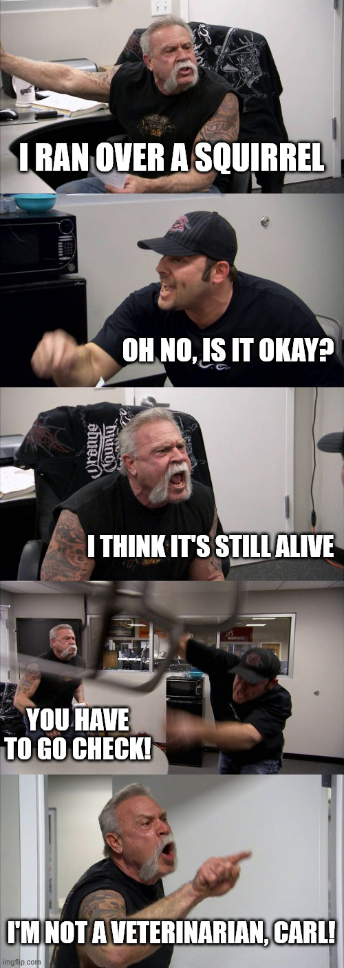 American Chopper Argument | I RAN OVER A SQUIRREL; OH NO, IS IT OKAY? I THINK IT'S STILL ALIVE; YOU HAVE TO GO CHECK! I'M NOT A VETERINARIAN, CARL! | image tagged in memes,american chopper argument | made w/ Imgflip meme maker