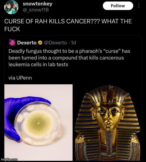 CURSE OF RAH KILLA CANCER LETS FKING GOOOOOO | made w/ Imgflip meme maker
