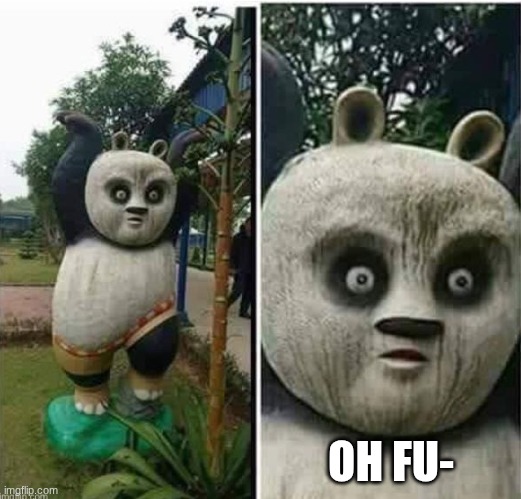 Kung fu OH NO | OH FU- | image tagged in kung fu oh no | made w/ Imgflip meme maker