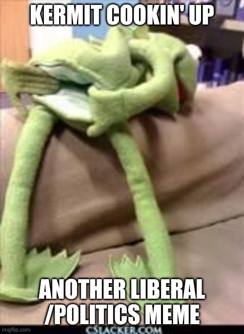 Gay kermit | KERMIT COOKIN' UP; ANOTHER LIBERAL /POLITICS MEME | image tagged in gay kermit | made w/ Imgflip meme maker