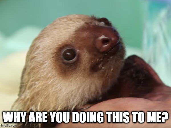 Why are you doing this to me? | WHY ARE YOU DOING THIS TO ME? | image tagged in reaction,pain | made w/ Imgflip meme maker