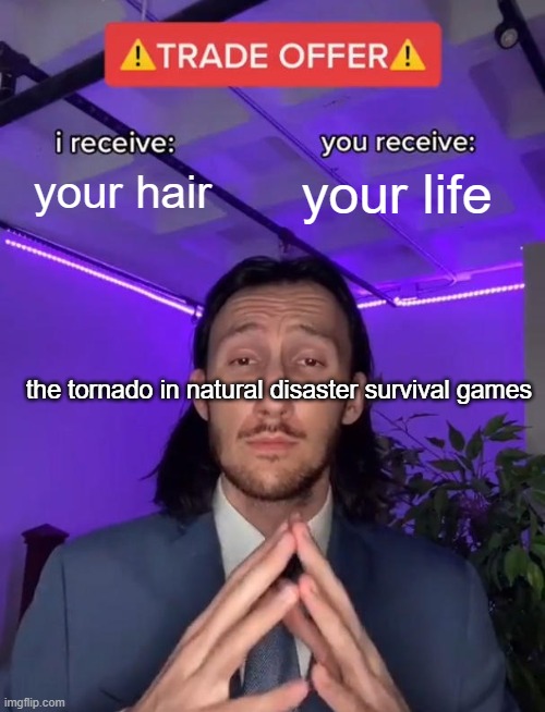 trade offer | your hair; your life; the tornado in natural disaster survival games | image tagged in trade offer | made w/ Imgflip meme maker