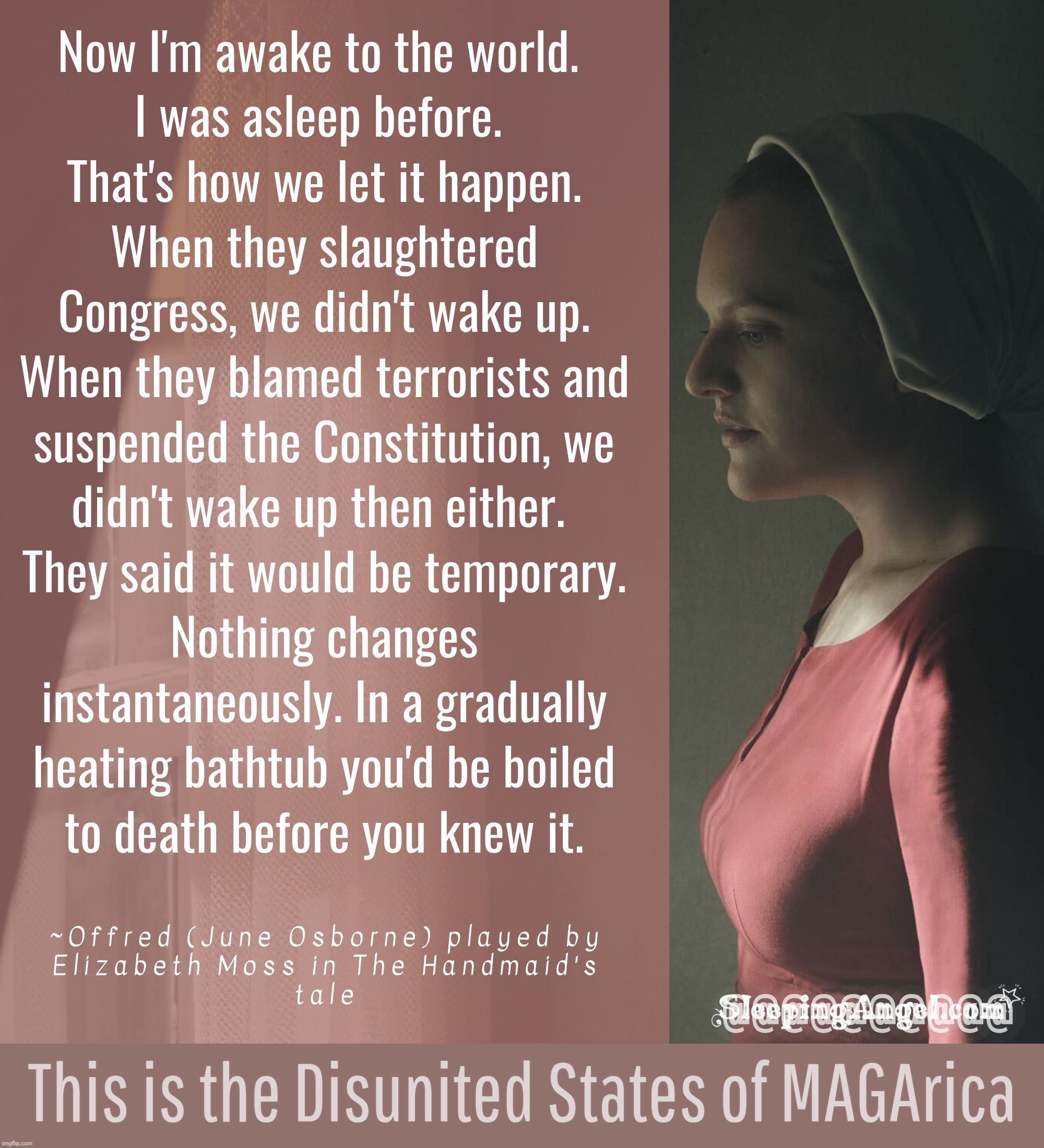 @@@@@@@@@@; This is the Disunited States of MAGArica | made w/ Imgflip meme maker