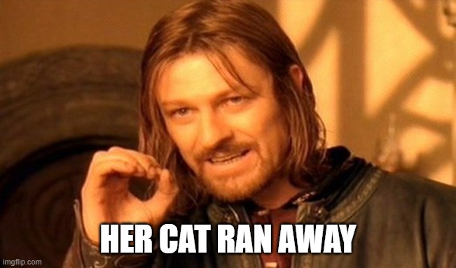 HER CAT RAN AWAY | image tagged in memes,one does not simply | made w/ Imgflip meme maker