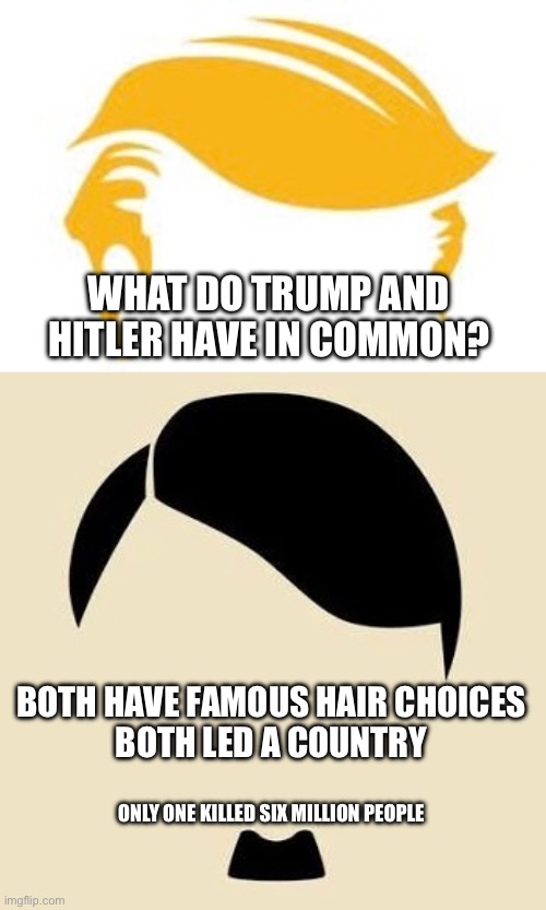 Choices, not styles | WHAT DO TRUMP AND HITLER HAVE IN COMMON? BOTH HAVE FAMOUS HAIR CHOICES
BOTH LED A COUNTRY; ONLY ONE KILLED SIX MILLION PEOPLE | made w/ Imgflip meme maker