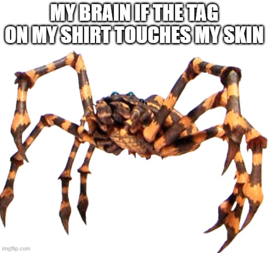MY BRAIN IF THE TAG ON MY SHIRT TOUCHES MY SKIN | made w/ Imgflip meme maker