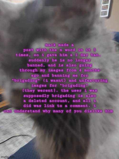 32's Cat | mack made a post with the n word in it 3 times, so i gave him a 1 day ban. 
suddenly he is no longer banned, and is also going through my images from 4 months ago and banning me for "brigading" (i wasnt) and unfeaturing images for "brigading" (they werent). the user i was supposedly brigading is also a deleted account, and all i did was link to a comment. i can understand why many of you dislike him | image tagged in 32's cat | made w/ Imgflip meme maker