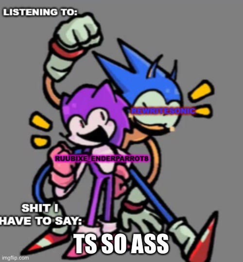 TS SO ASS | image tagged in rewrite and enderparrot shared temp | made w/ Imgflip meme maker