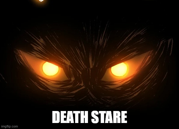 We need to have this type of stare to scare someone | DEATH STARE | image tagged in stare,death | made w/ Imgflip meme maker