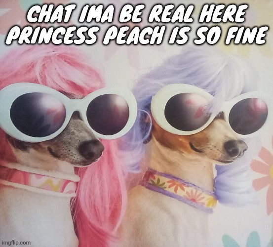Groovy dawgs | CHAT IMA BE REAL HERE PRINCESS PEACH IS SO FINE | image tagged in groovy dawgs | made w/ Imgflip meme maker