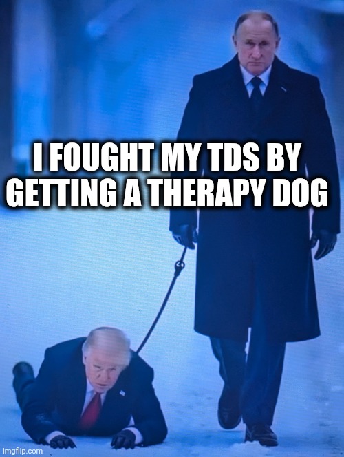 I FOUGHT MY TDS BY GETTING A THERAPY DOG | image tagged in putins puppet | made w/ Imgflip meme maker