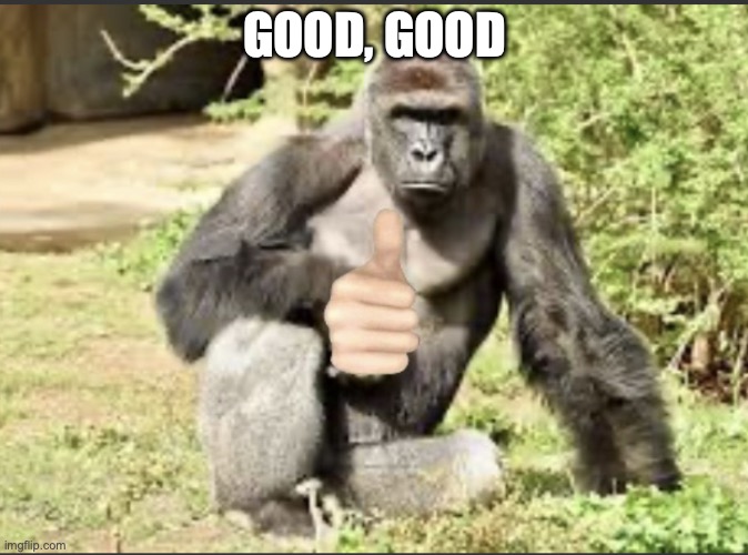 Harambe thumbs up | GOOD, GOOD | image tagged in harambe thumbs up | made w/ Imgflip meme maker