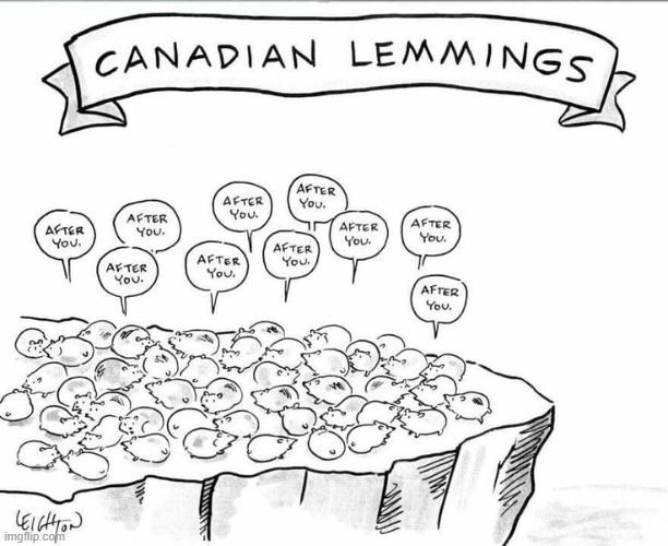 image tagged in canada,canadian,lemmings,kind,kindness,after you | made w/ Imgflip meme maker
