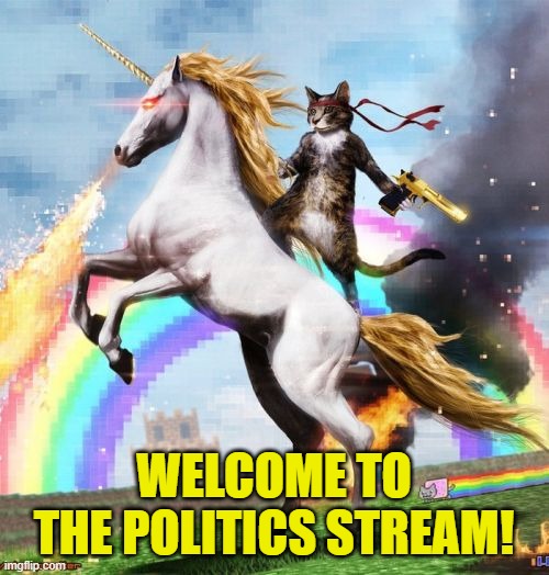 Welcome To The Internets Meme | WELCOME TO THE POLITICS STREAM! | image tagged in memes,welcome to the internets | made w/ Imgflip meme maker