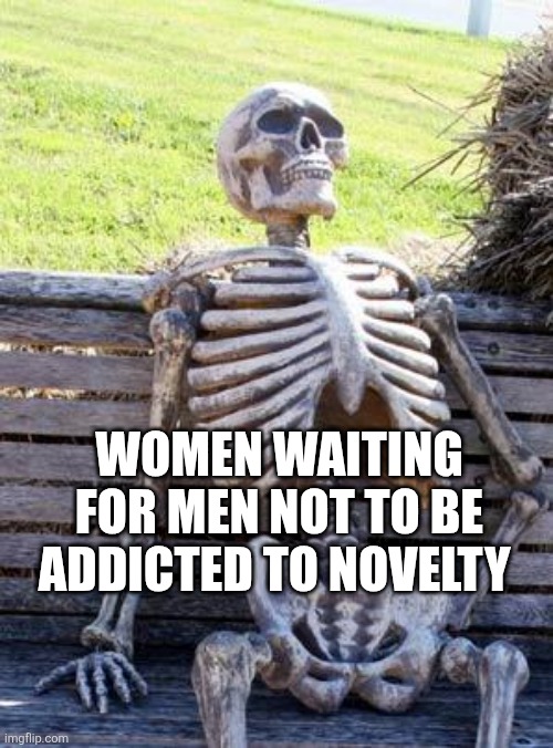 Testosterone | WOMEN WAITING FOR MEN NOT TO BE ADDICTED TO NOVELTY | image tagged in memes,waiting skeleton,testosterone,men,romance,gender | made w/ Imgflip meme maker