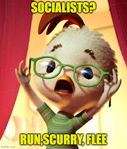 Chicken Little | SOCIALISTS? RUN,SCURRY, FLEE | image tagged in chicken little | made w/ Imgflip meme maker