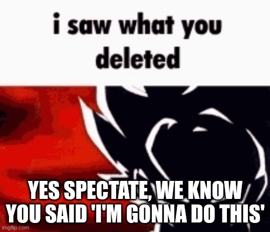 i saw what you deleted | YES SPECTATE, WE KNOW YOU SAID 'I'M GONNA DO THIS' | image tagged in i saw what you deleted | made w/ Imgflip meme maker