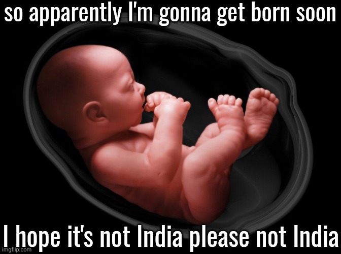Baby in Womb | so apparently I'm gonna get born soon; I hope it's not India please not India | image tagged in baby in womb | made w/ Imgflip meme maker