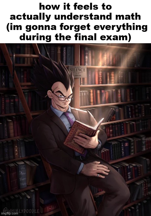 Librarian Vegeta | how it feels to actually understand math
 (im gonna forget everything during the final exam) | image tagged in librarian vegeta | made w/ Imgflip meme maker