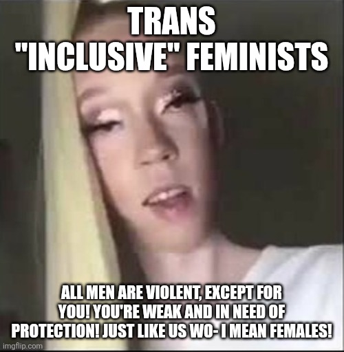 TRANS "INCLUSIVE" FEMINISTS; ALL MEN ARE VIOLENT, EXCEPT FOR YOU! YOU'RE WEAK AND IN NEED OF PROTECTION! JUST LIKE US WO- I MEAN FEMALES! | made w/ Imgflip meme maker