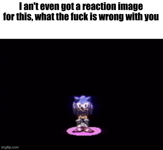 new reaction image just dropped. | image tagged in sonic questions your sanity | made w/ Imgflip meme maker
