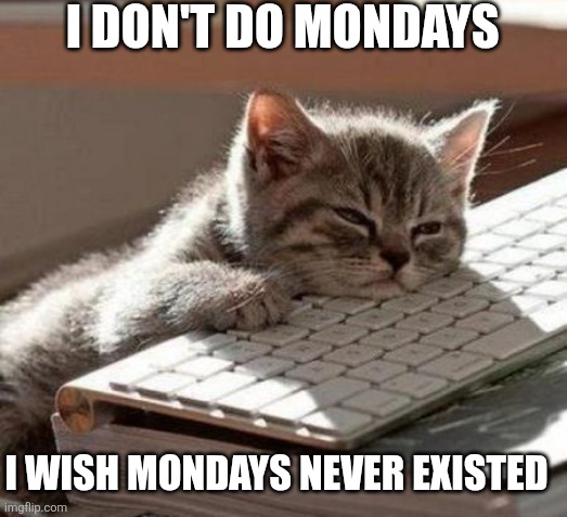 tired cat | I DON'T DO MONDAYS; I WISH MONDAYS NEVER EXISTED | image tagged in tired cat,i hate mondays,mondays suck,oh hell no,mondays are boring | made w/ Imgflip meme maker