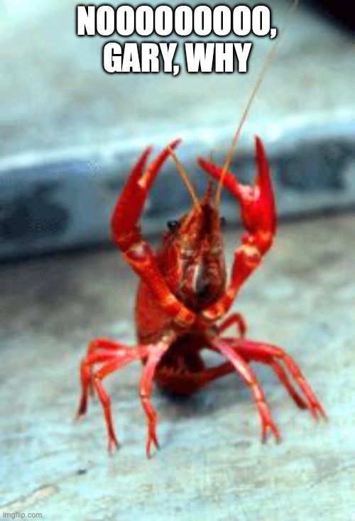 Birthday crawfish | NOOOOOOOOO, GARY, WHY | image tagged in birthday crawfish | made w/ Imgflip meme maker