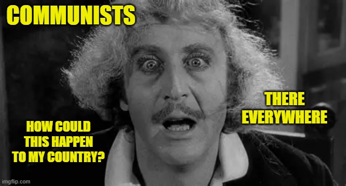 COMMUNISTS THERE EVERYWHERE HOW COULD THIS HAPPEN TO MY COUNTRY? | made w/ Imgflip meme maker