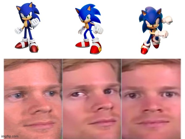 sonic meme | image tagged in fourth wall breaking white guy | made w/ Imgflip meme maker