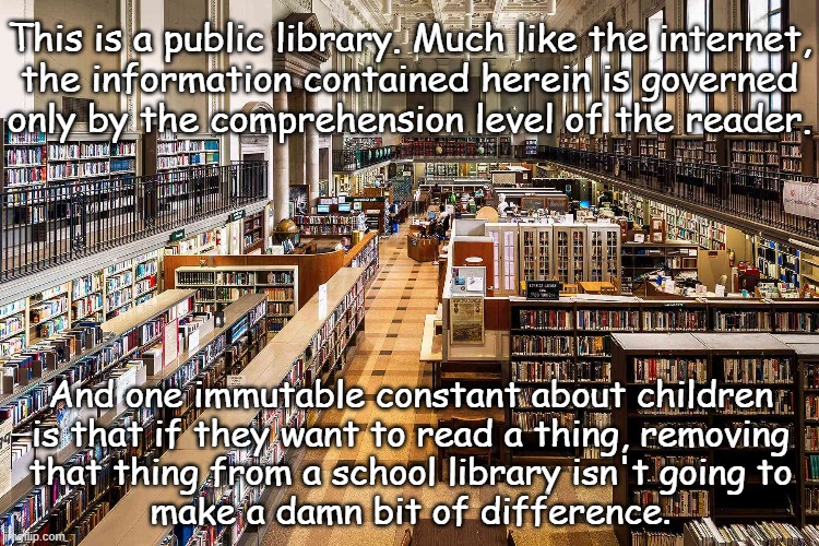 The idiotic, imbecilic folly of trying to control what children read." *OR* "Thought-policing via infomation throttling much?" | This is a public library. Much like the internet,
the information contained herein is governed
only by the comprehension level of the reader. And one immutable constant about children
is that if they want to read a thing, removing
that thing from a school library isn't going to
make a damn bit of difference. | image tagged in public library | made w/ Imgflip meme maker