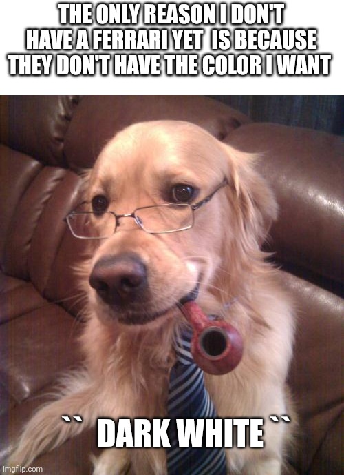 don't take it personal it's just business dog meme | THE ONLY REASON I DON'T HAVE A FERRARI YET  IS BECAUSE THEY DON'T HAVE THE COLOR I WANT; ``  DARK WHITE `` | image tagged in don't take it personal it's just business dog meme | made w/ Imgflip meme maker