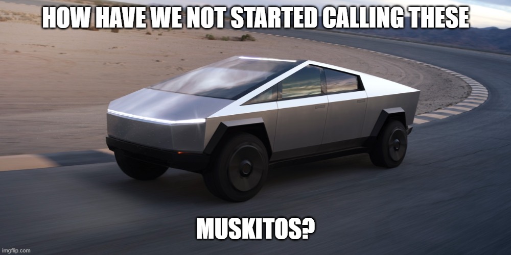 Tesla Muskito | HOW HAVE WE NOT STARTED CALLING THESE; MUSKITOS? | image tagged in musk,tesla,cybertruck | made w/ Imgflip meme maker