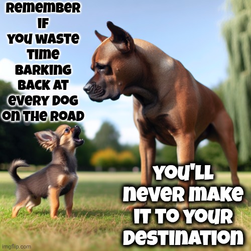 Keep On Keepin On | Remember if you waste time barking back at every dog on the road; you'll never make it to your destination | image tagged in the small dog barked at the big muscular dog,distraction,focus,tests,keep on keepin on,memes | made w/ Imgflip meme maker