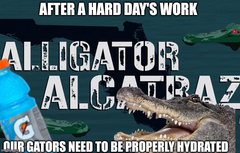 alligator alcatraz meme | AFTER A HARD DAY'S WORK; OUR GATORS NEED TO BE PROPERLY HYDRATED | image tagged in gatorade | made w/ Imgflip meme maker