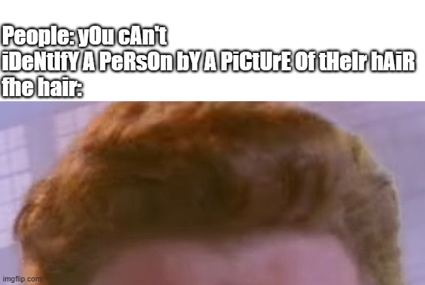 People: yOu cAn't iDeNtIfY A PeRsOn bY A PiCtUrE Of tHeIr hAiR
fhe hair: | image tagged in rickroll | made w/ Imgflip meme maker