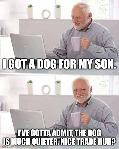 Hide the Pain Harold | I GOT A DOG FOR MY SON. I'VE GOTTA ADMIT, THE DOG IS MUCH QUIETER. NICE TRADE HUH? | image tagged in memes,hide the pain harold | made w/ Imgflip meme maker