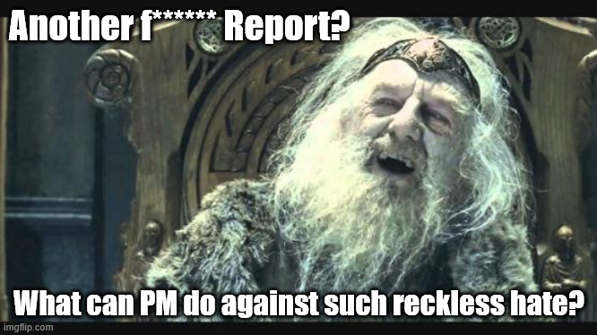Project Manager weekly reports | Another f****** Report? What can PM do against such reckless hate? | image tagged in theoden,report,project management | made w/ Imgflip meme maker