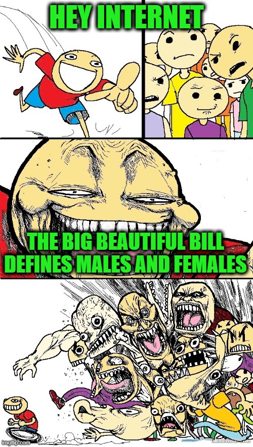 There's a Reason "Beautiful" is in Its Title | HEY INTERNET; THE BIG BEAUTIFUL BILL DEFINES MALES AND FEMALES | image tagged in hey internet color | made w/ Imgflip meme maker