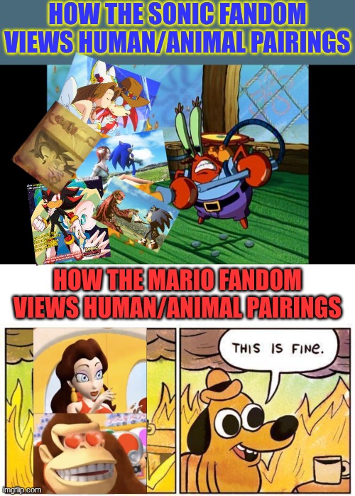 This came into my mind, as of recent | HOW THE SONIC FANDOM VIEWS HUMAN/ANIMAL PAIRINGS; HOW THE MARIO FANDOM VIEWS HUMAN/ANIMAL PAIRINGS | image tagged in sonic the hedgehog,super mario,sonic shipping,mario shipping,anthro x human,human x anthro | made w/ Imgflip meme maker