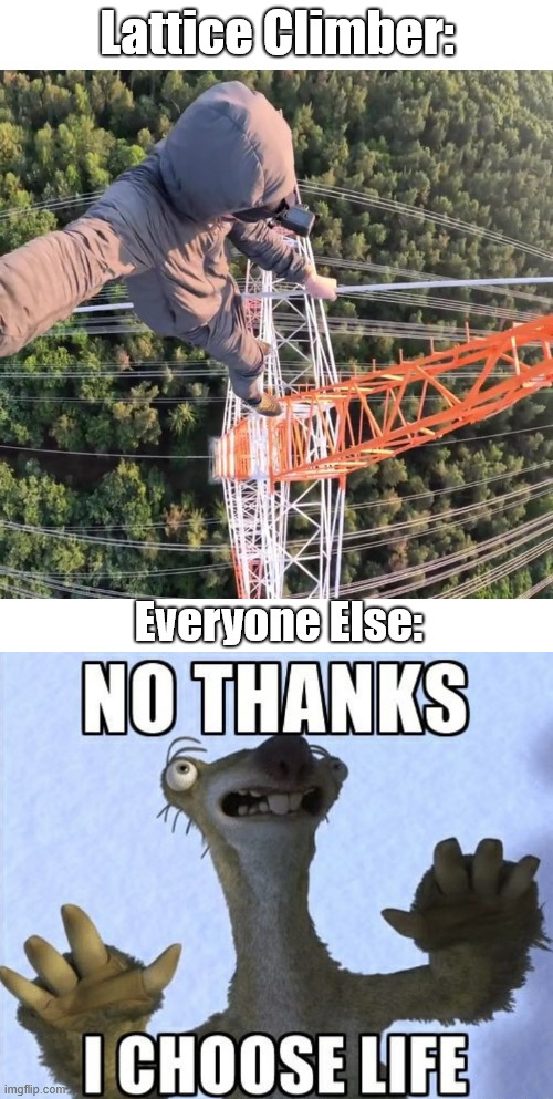 Free climbing and lattice climbing be like | Lattice Climber:; Everyone Else: | image tagged in ice age,movie,memes,lattice climbing,climbing memes,dark humor | made w/ Imgflip meme maker