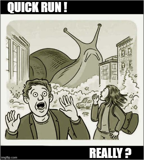 The Attack Of The Giant Snail ! | QUICK RUN ! REALLY ? | image tagged in giant,snail,attack,run away,really | made w/ Imgflip meme maker