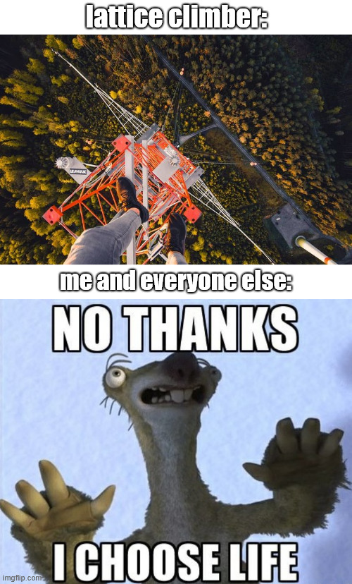 No thanks, i choose life. | lattice climber:; me and everyone else: | image tagged in memes,lattice climbing,klettern,ice age,movies,2000s | made w/ Imgflip meme maker