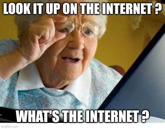 old lady at computer | LOOK IT UP ON THE INTERNET ? WHAT'S THE INTERNET ? | image tagged in old lady at computer | made w/ Imgflip meme maker